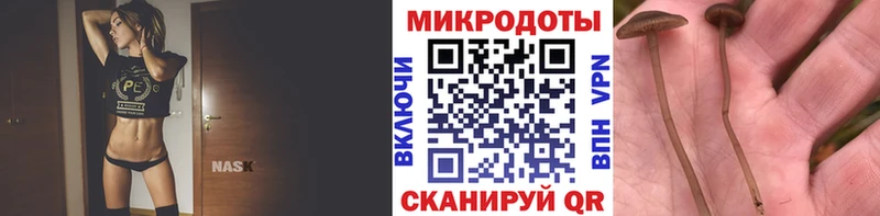 Галлюциногенные грибы Psilocybe  купить закладку  Облучье 